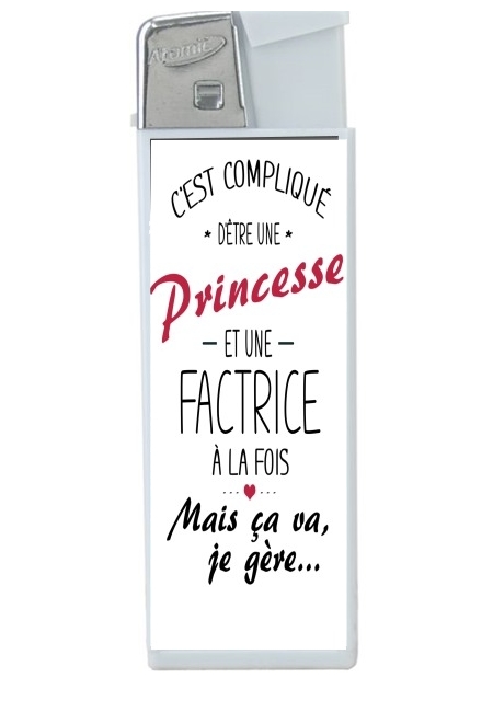 Briquet C'est compliqué d'être une princesse et une factrice