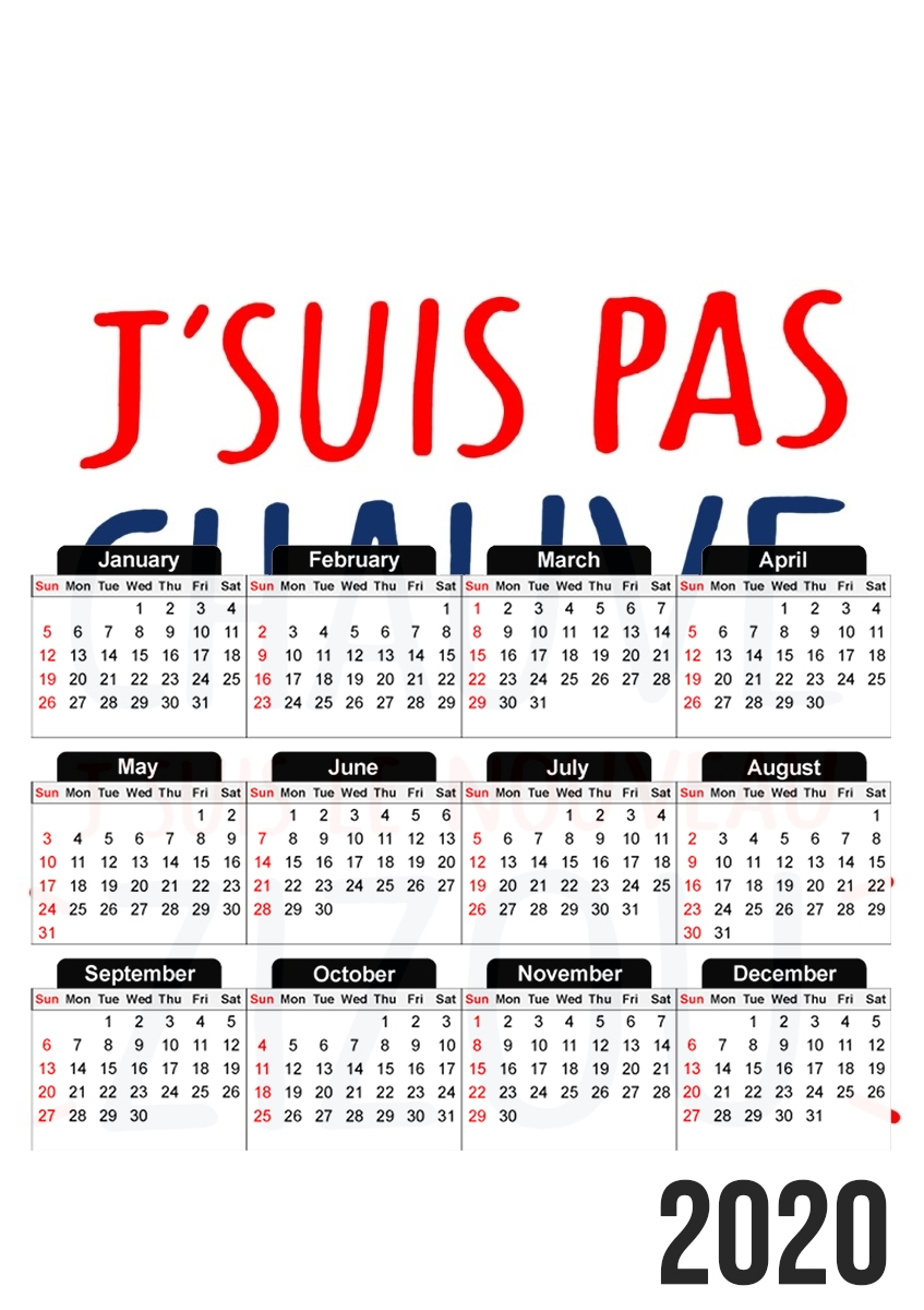 Calendrier Je ne suis pas chauve Je suis le nouveau ZiZou