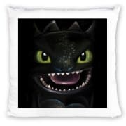 Coussin Night fury