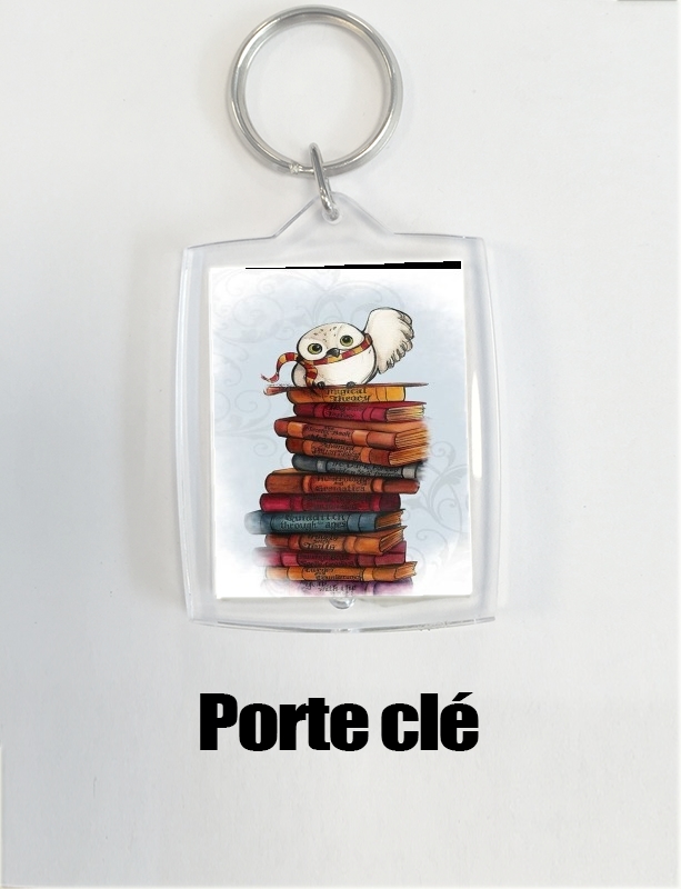 Porte clé photo Owl and Books