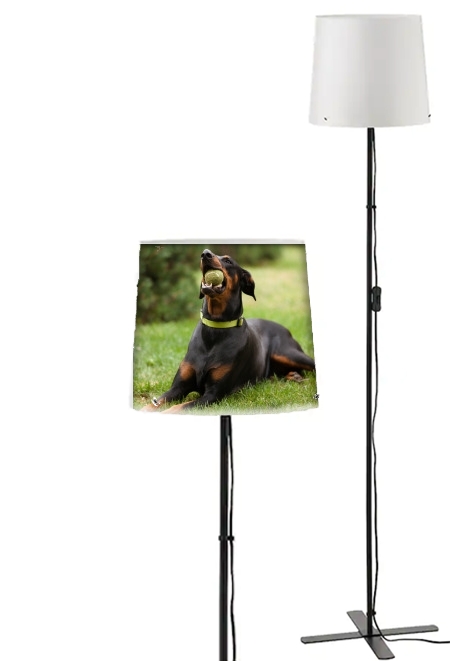 Lampadaire Adult Doberman