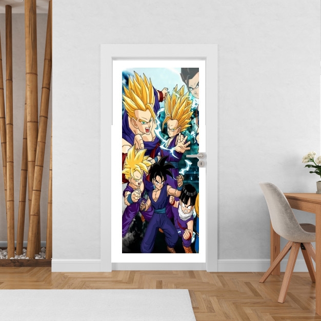 Poster de porte Sangohan evolution Fan Art